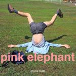 pinkelephant